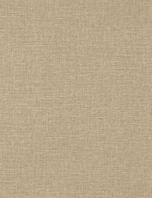Обои Caselio Jute JTE104012220