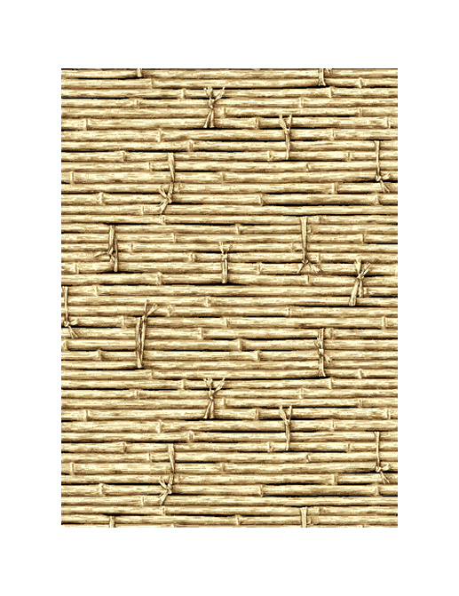 Обои Jaima Brown Retreat Bamboozled-Black