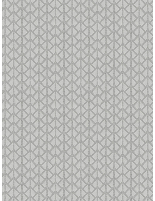 Ткань Trend Stone-Cloud Prints & Wovens Vol.VIII 04387/CloudSilver
