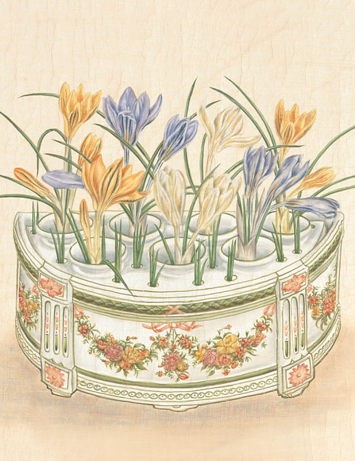 Панно и фотообои Iksel Scenic & Architectural Wallpapers Potted Flowers PF11