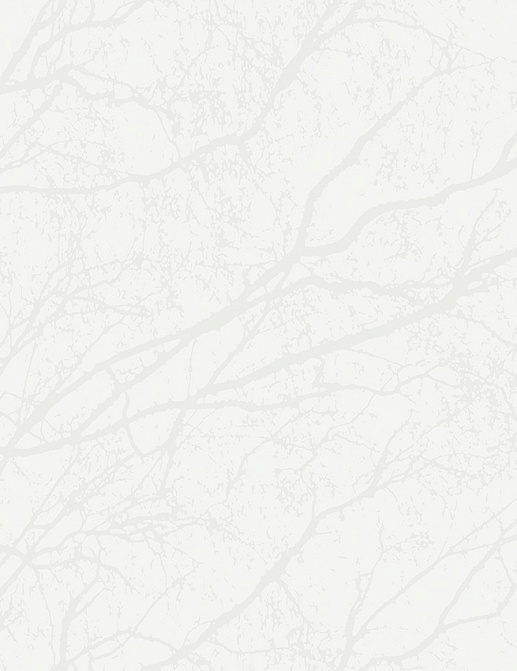Обои Eco Decorama 2019 9317