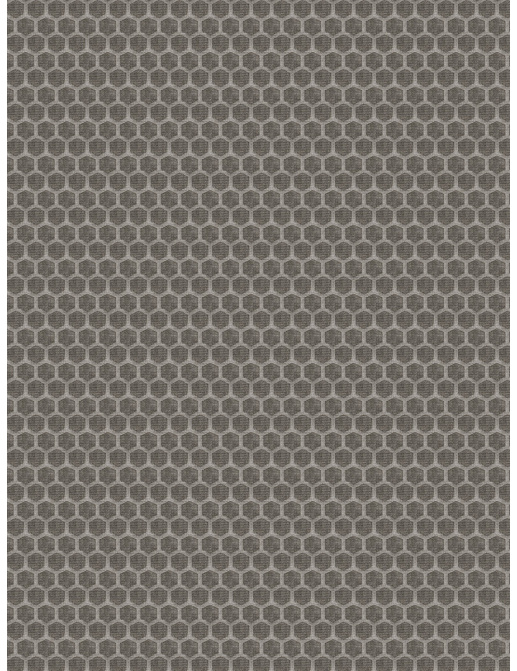 Ткань Fabricut Vignettes Vol.XIII Platinum Unas/Grey