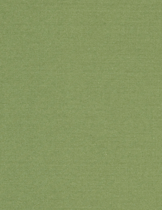 Ткань Designers Guild Aviano F1911/20