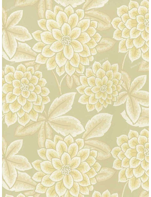 Обои Brewster Madison Florals 282-64048