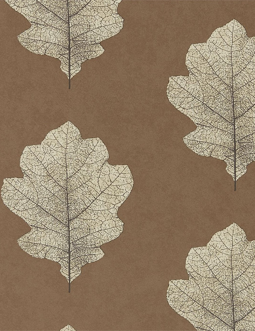 Обои Sanderson Woodland Walk 215701