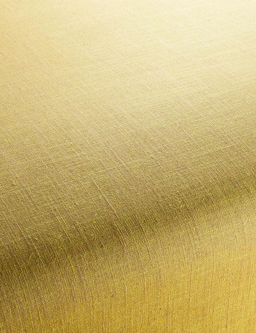 Ткань Chivasso Carlucci di Chivasso Two-Tone vol.2 CA7655/135