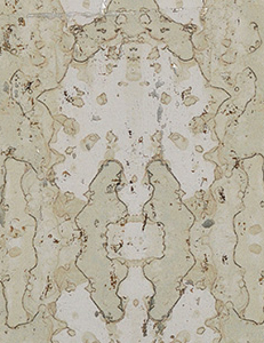 Обои Innovations Collection Shimera CHI-04 TERNE