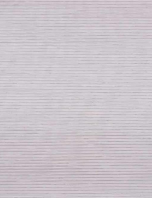 Обои Phillip Jeffries Tailored Walls 5939