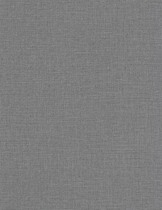 Обои Caselio Jute JTE104019243