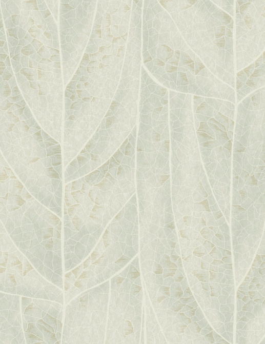 Обои York Natural Discovery (Candice Olson) NT6142