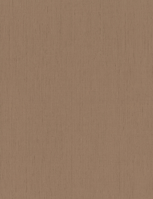 Обои Rasch Indian Style 746129