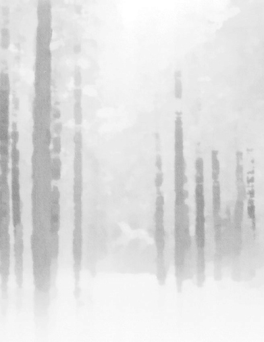 Панно и фотообои Tecnografica Collection 2018 54756-1