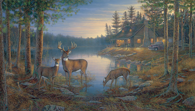 Панно и фотообои York Lake Forest Lodge LM7955M
