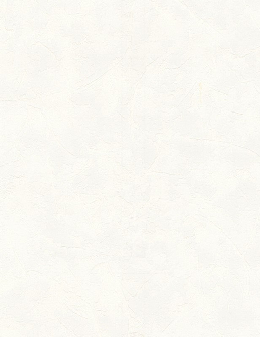 Обои A. S. Creation White & Colours 511546