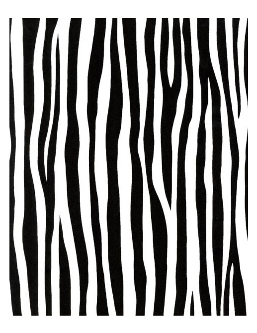 Обои Caselio Black & White BTW61149018