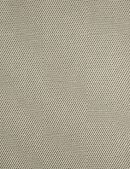 Ткань Galleria Arben Indian Market BENGALI/02/Stucco