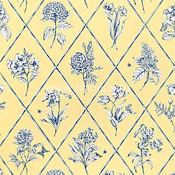 Обои Thibaut Toile Resource II T9759