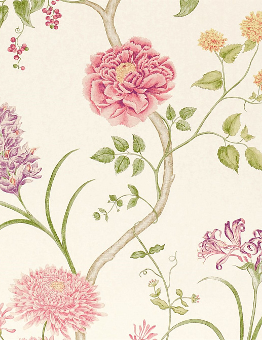 Обои Sanderson Wallpapers from a Painters Garden DAPGST101