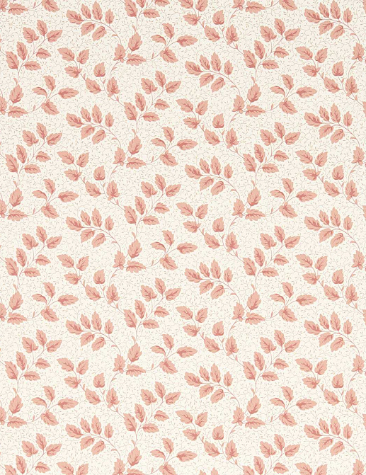 Обои Sanderson Country Woodland 217420