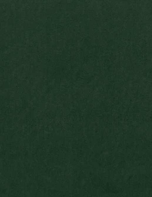 Ткань Clarke & Clarke Alvar 2 F0753/63