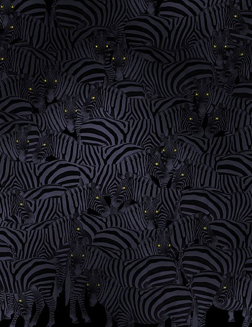 Панно и фотообои Skinwall Contemporary Collection 106