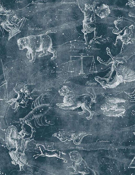Панно и фотообои Affresco Цветариум Uranographia Color 3