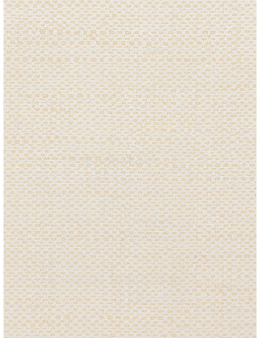Обои Holland & Sherry Collection 3 DEWP9063