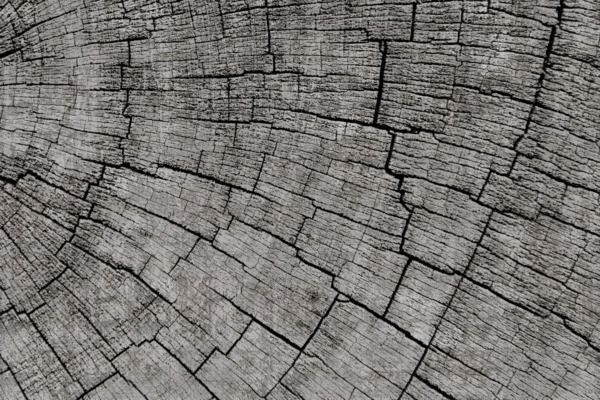 Обои Glamora Creative Wallcovering GLCR021