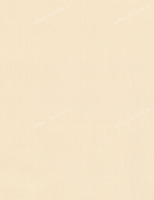 Обои A. S. Creation Inspiration 2876-18