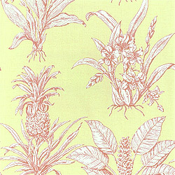 Ткань Thibaut Toile Resource II F99803