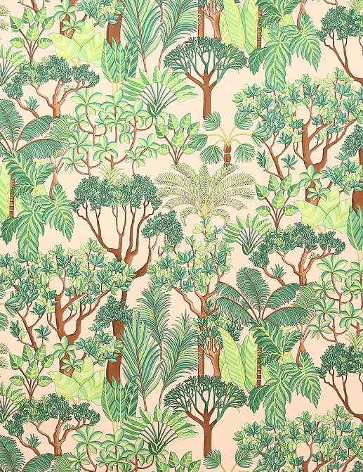 Ткань Manuel Canovas Morny 04968/04