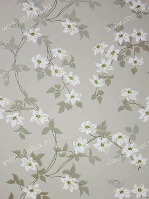 Обои Nina Campbell Montacute NCW4065-02