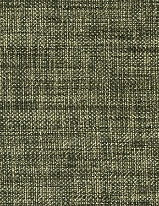 Ткань Designers Guild Rinzu F1393/21