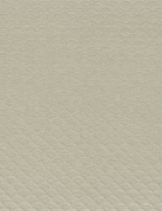 Ткань Camengo Espuma A38800619