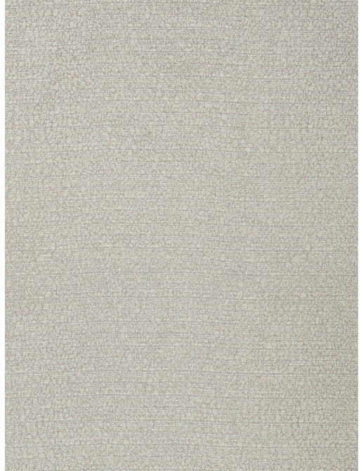 Ткань Trend Stone-Cloud Prints & Wovens Vol.VIII 04404/Sterling