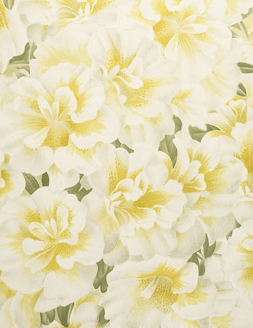 Обои Designers Guild John Derian - Picture Book PJD6004-03