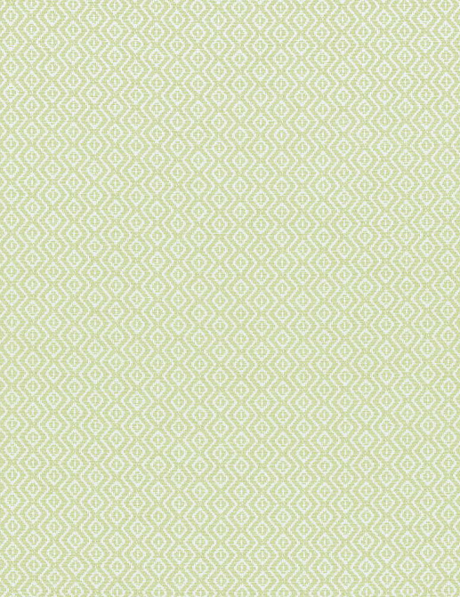 Ткань Thibaut Indoor Outdoor Oasis W80532
