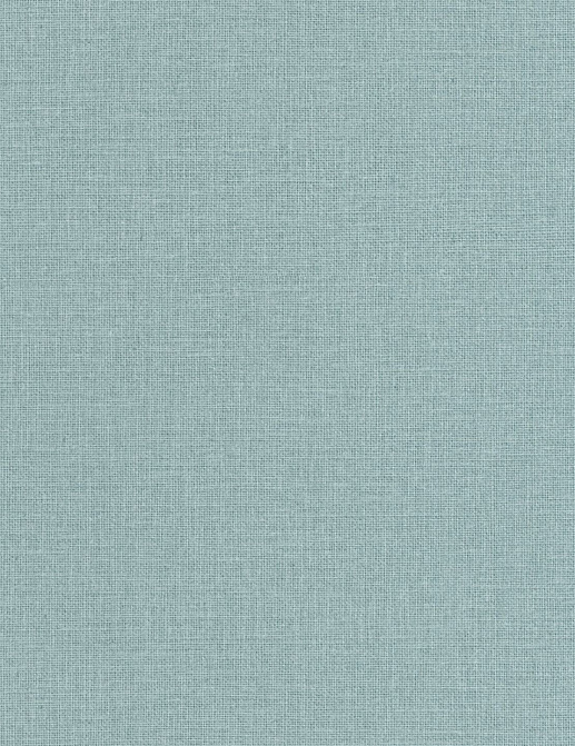 Обои Caselio Jute Essentiel JUT104016226