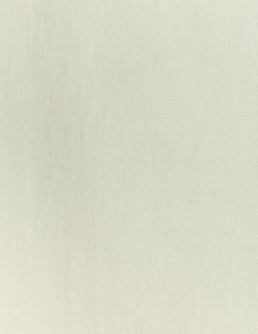 Ткань Thibaut Woven Resource 12 Prisma W70106