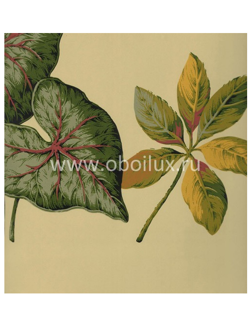 Обои York Antonina Vella - Botanica VB6701