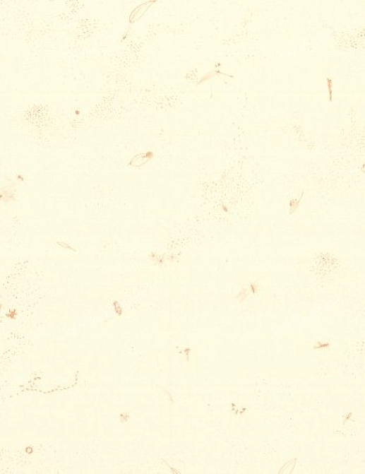 Обои Tres Tintas BCN Kids 2026-2
