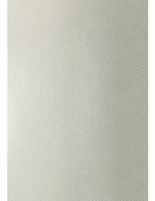 Обои Thibaut Greenwood T85067