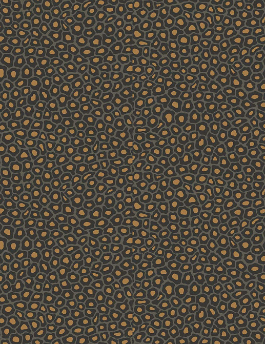 Обои Cole & Son The Ardmore Collection 109/6032