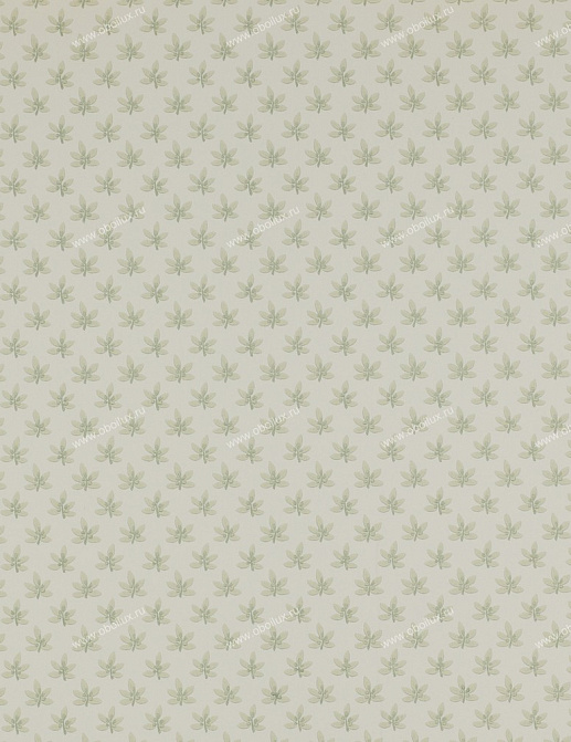 Обои Colefax and Fowler Ashbury 07984-06