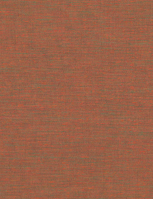 Обои Jannelli & Volpi 171 Ikat 6418