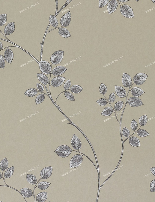 Обои Sanderson Classic Collection II DCLAFR104