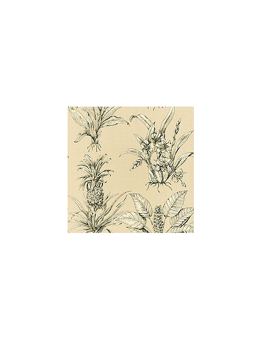 Ткань Thibaut Toile Resource II F99805
