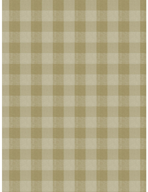 Ткань Stroheim Charles Faudree Biron Strie Check Biron strie check/Bamboo