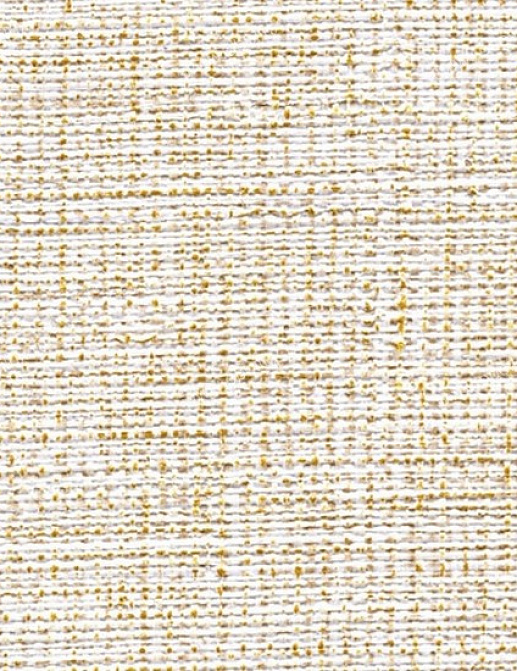 Обои Elitis Abaca VP-730-01