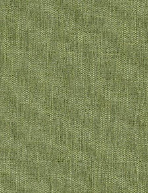 Ткань Designers Guild Fortezza FDG2865/09